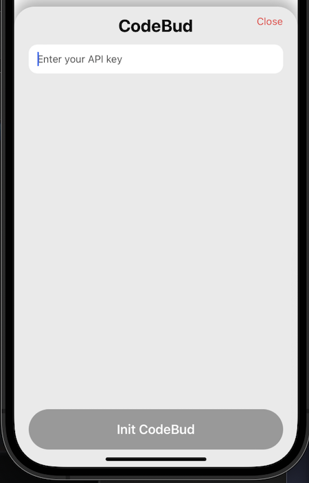 CodeBud Init modal screenshot (iOS 17.4)